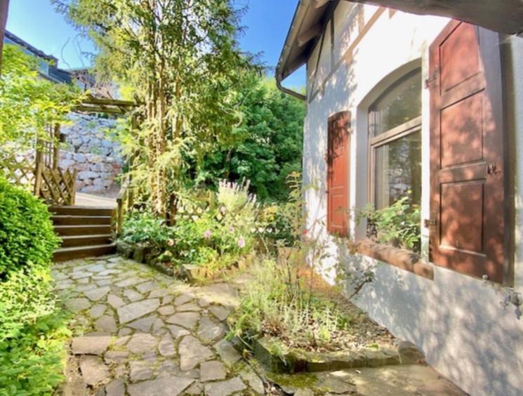 Waldseele Appartement Battenberg  Ngoại thất bức ảnh